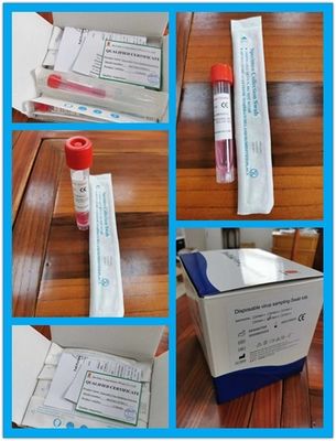 10 مل أنبوب جمع العينات المتاح